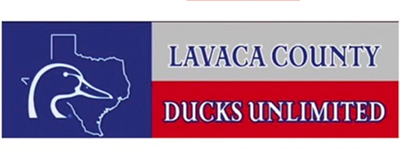 Lavaca County Ducks